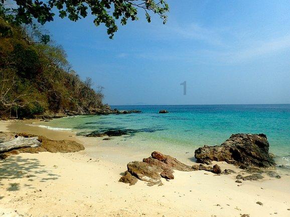 牛油果面包