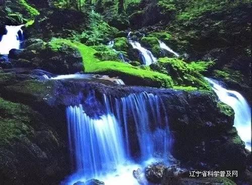 巡考是什么？
