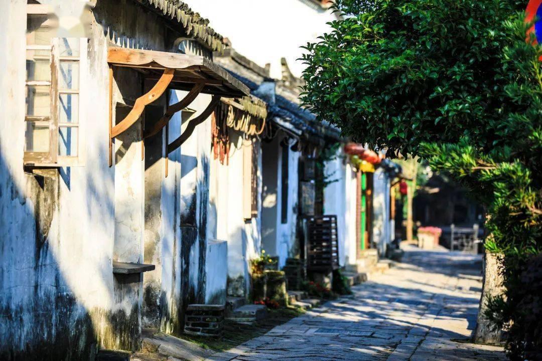 阴森的郊区