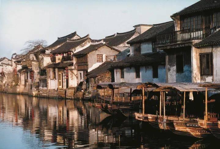 小长颈鹿逃离